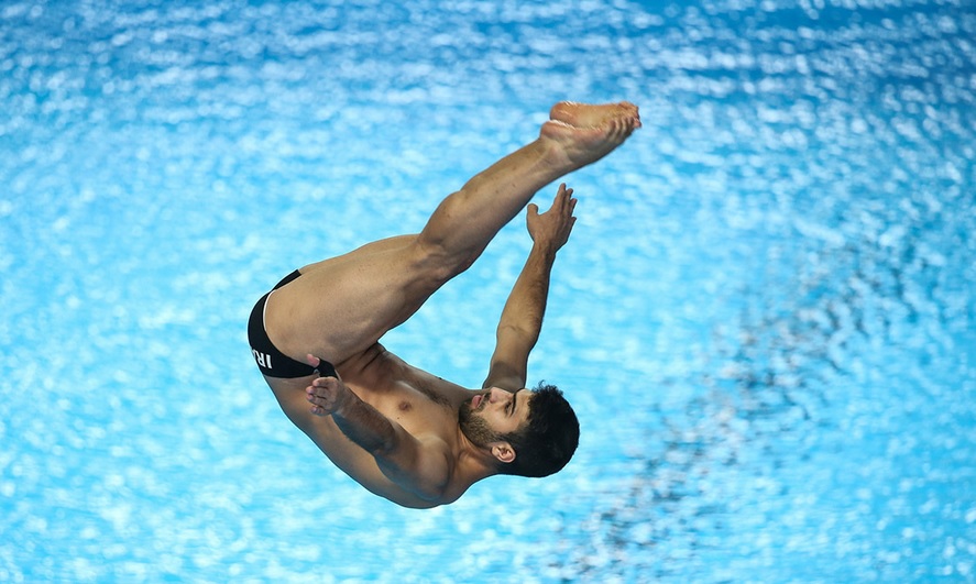 فدراسیون شیرجه-diving federation