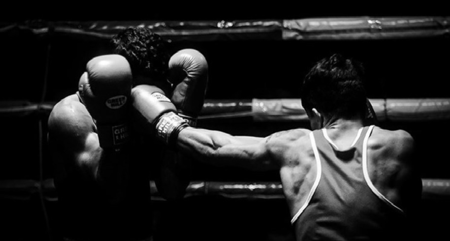 لیگ برتر بوکس-ایران-iran boxing league