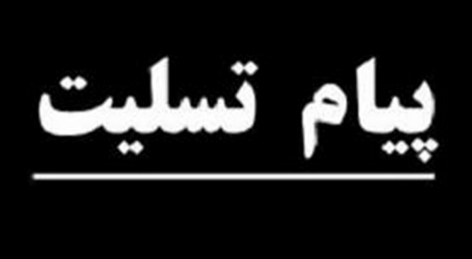 استقلال-نساجی-لیگ برتر خلیج فارس-ایران-esteghlal-nassaji-persian gulf premier league-iran