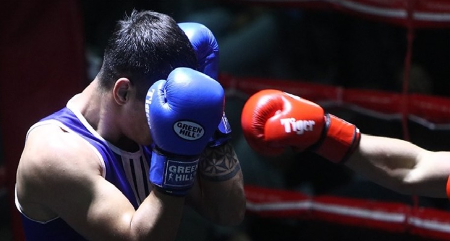 لیگ برتر بوکس-ایران-iran boxing league