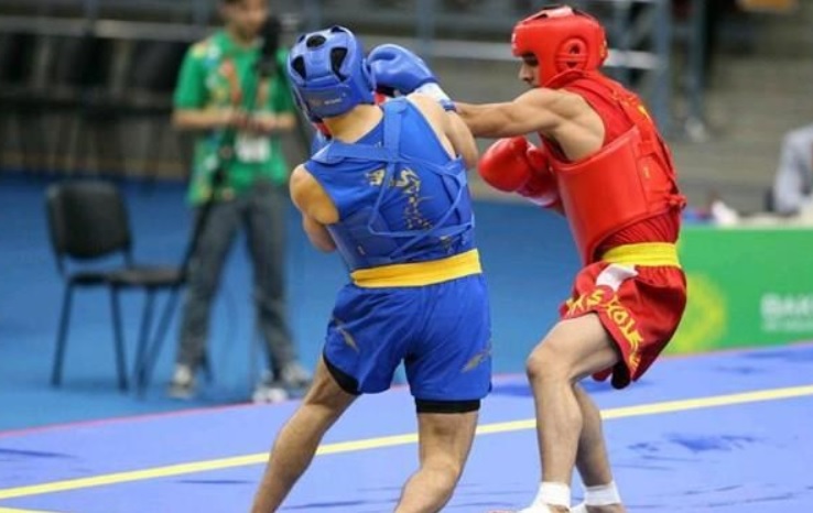 لیگ برتر ووشو-ایران-iran wushu premier league