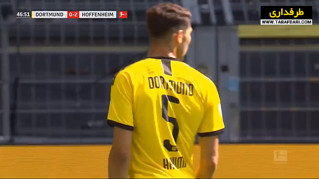 هوفنهایم / بوندسلیگا / آلمان / hoffenheim