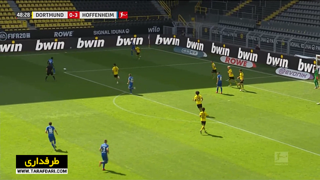 هوفنهایم / بوندسلیگا / آلمان / hoffenheim