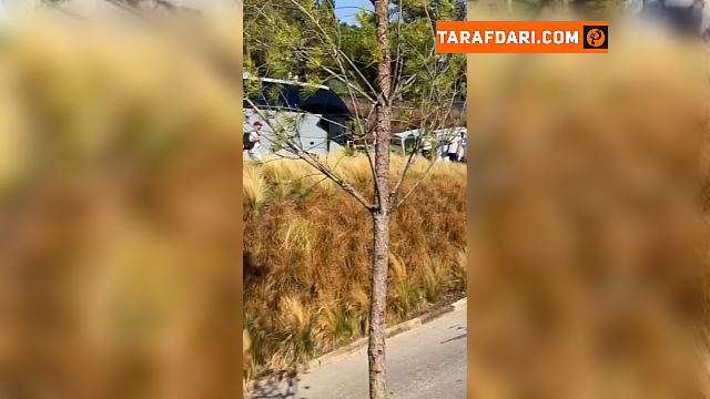 سرمربی پاری سن ژرمن