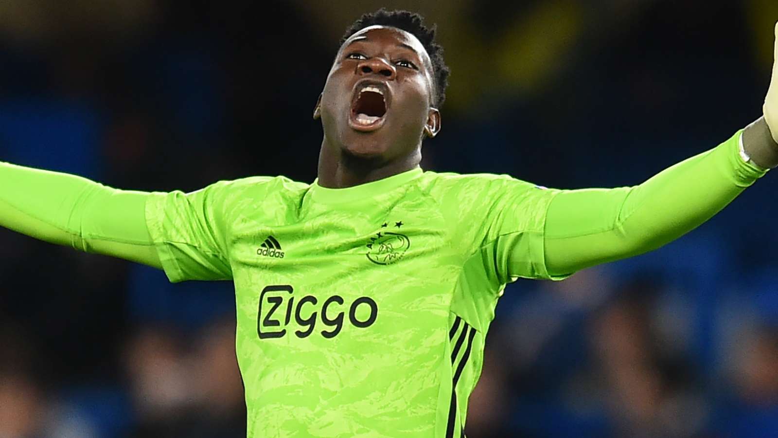 آژاکس-اردیویسه-کامرون-Ajax-Eredivisie-Cameroon